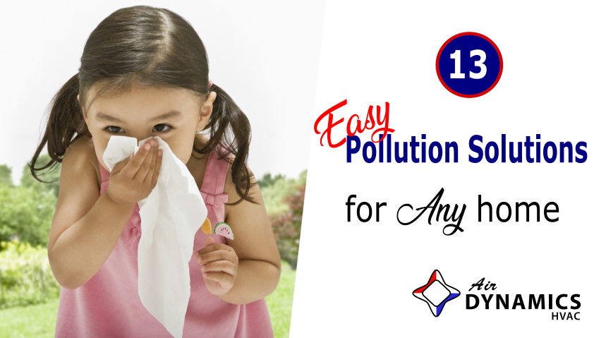 13 Easy Pollution Solutions for Any Home